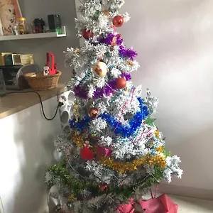 Génial Apartamento